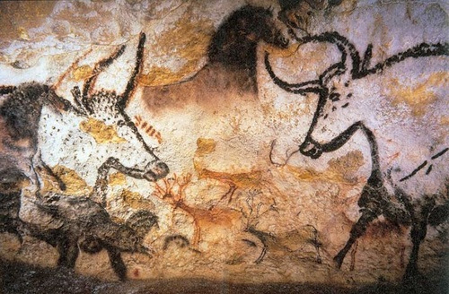 <p>The actual caves are cut off from the public and an adjacent replica of them has been made for public touring due to the atmospheric interactions people had with the paintings that affected the ancient art more in 15 years than throughout the 15,000 years it was there</p>