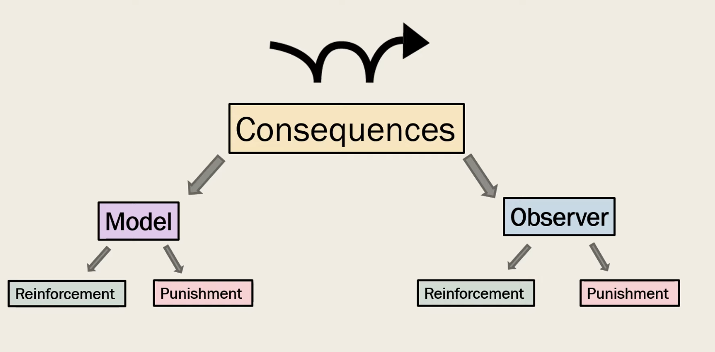 <p>Consequences</p>