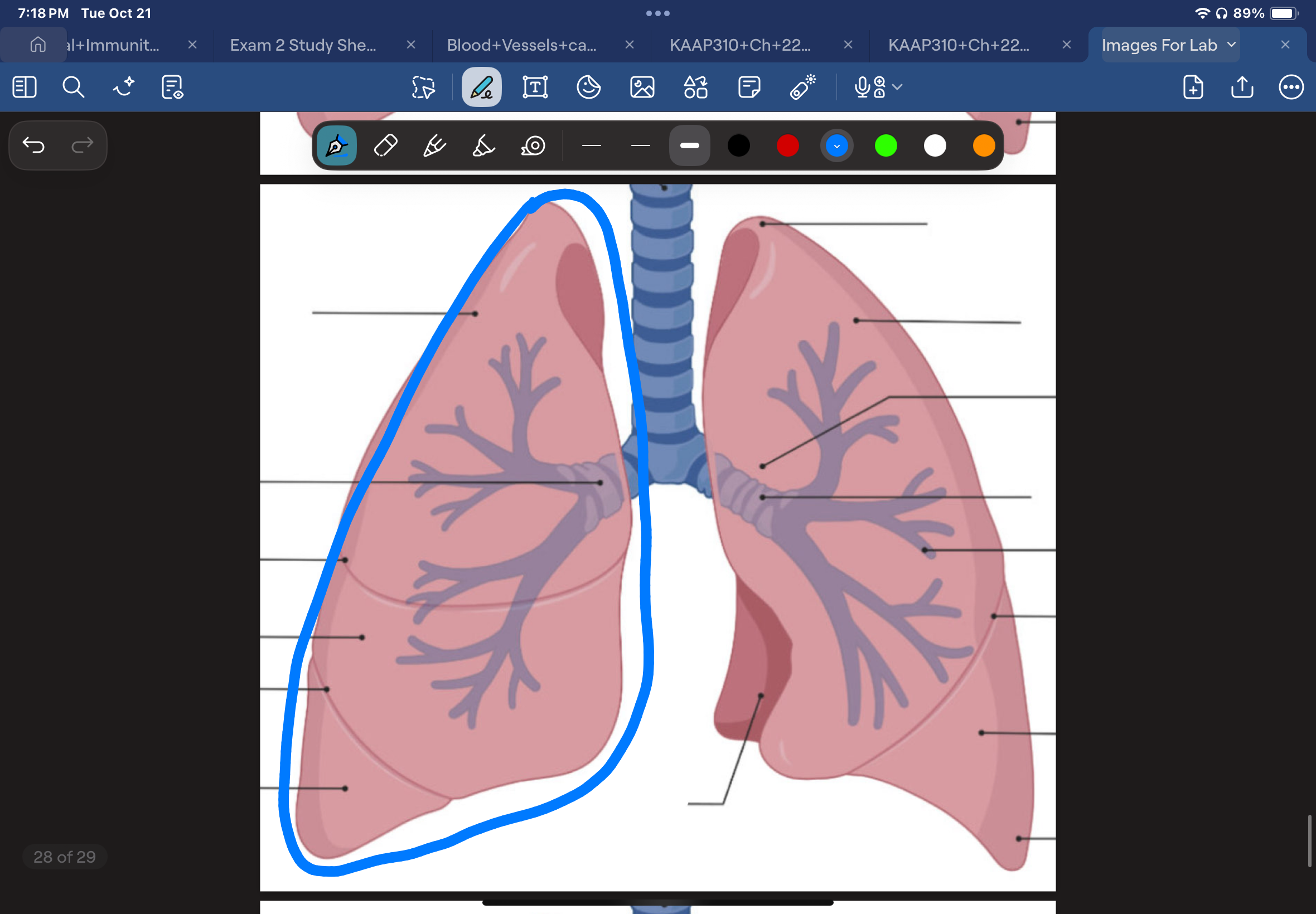 knowt flashcard image