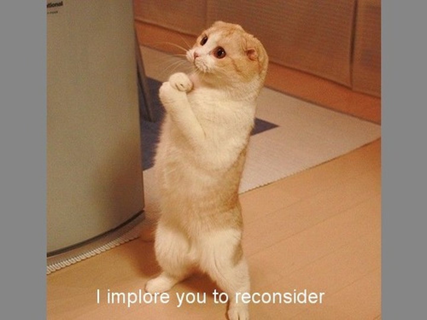<p>beg someone earnestly or desperately to do something</p>