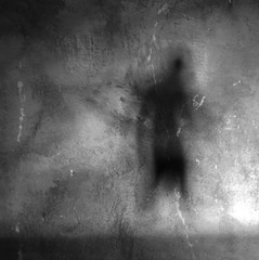 (n.) a ghost or phantom