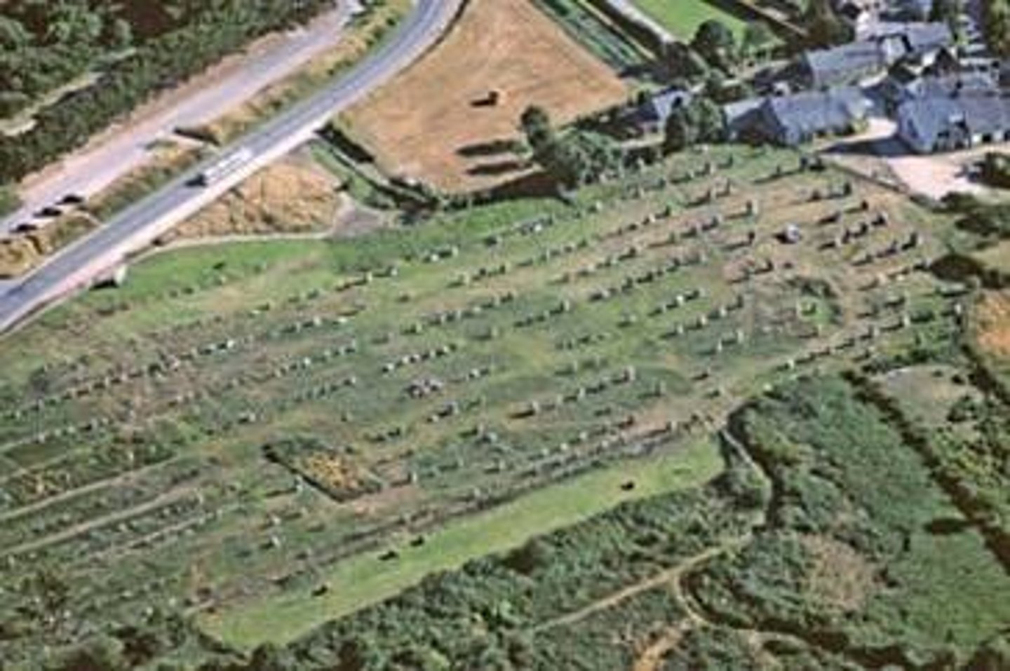 <p>Either large stones with wide spaces and smaller stones with more closed spaces.</p>