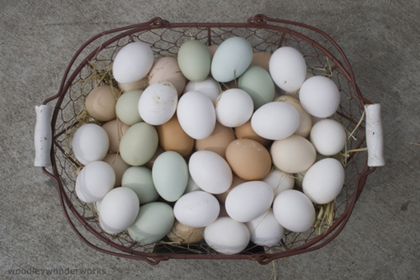 <p>eggs</p>