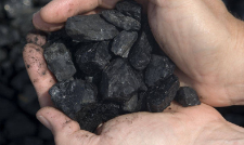 <p>What volume of leaves could 1 piece of coal contain?</p>
