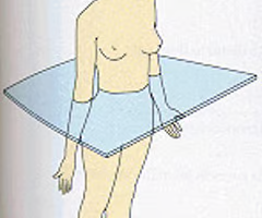 runs horizontally from right to left, dividing the body into superior and inferior parts. (Transverse is perpendicular to long axis of an organ, horizontal is from front to back)