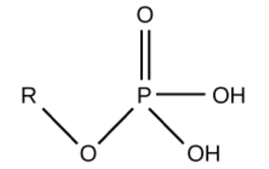 <p>Which functional group is this?</p>