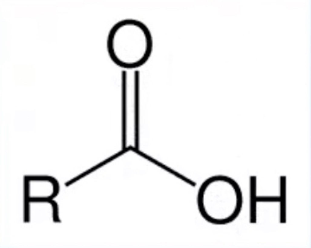 <p>Carboxylic Acid; hydroxyl and carbonyl bonded to SAME carbon atom</p>