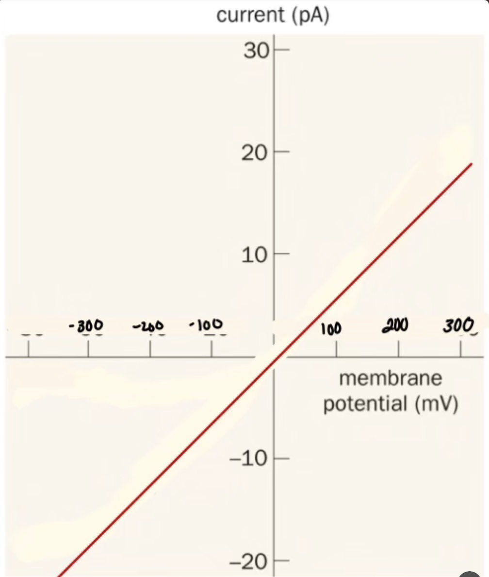 <p>What does it mean when the Nicotine Acetylcholine Receptor depolarizes at 060 current</p>