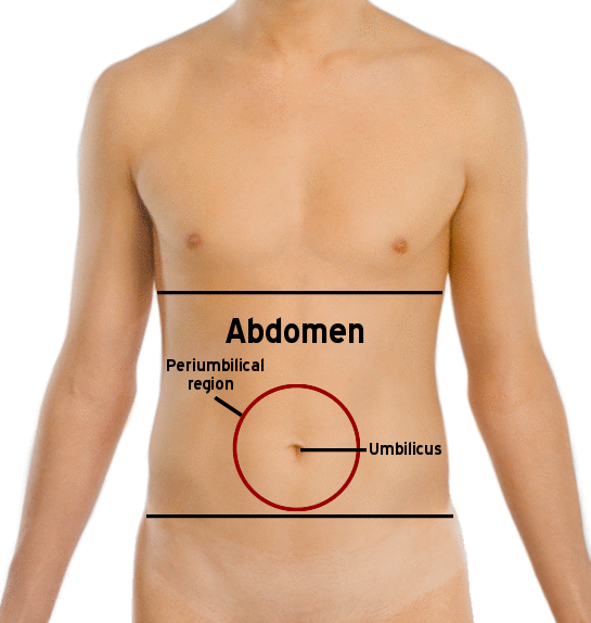 <p>pertains to the body cavity below diaphragm, relating to abdomen (contains structures between chest and pelvis)</p>