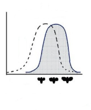 <p>Was ist das für ein Selektionstyp und wo herrscht Selektionsdruck</p>