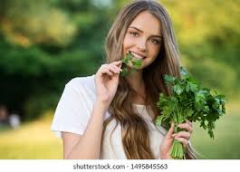 <p>parsley</p>