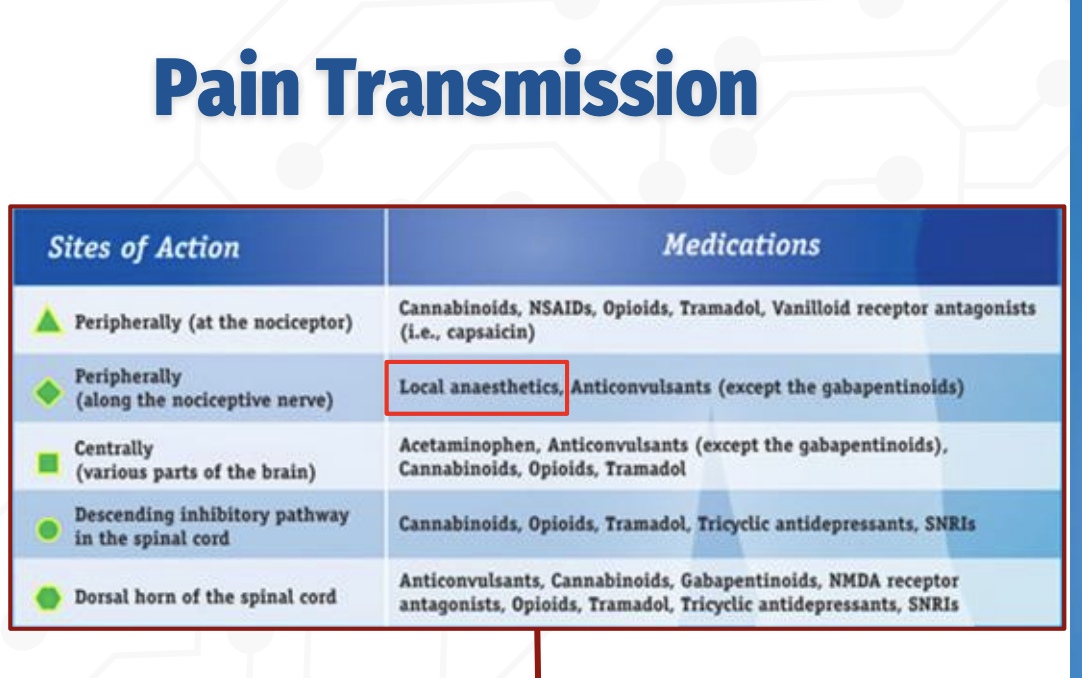 <p><strong>Peripheral vs Central Sites of Pain Modulation</strong></p><ul><li><p><strong>Q:</strong> What drugs act peripherally vs centrally in the pain pathway?</p><p></p></li></ul><p></p>