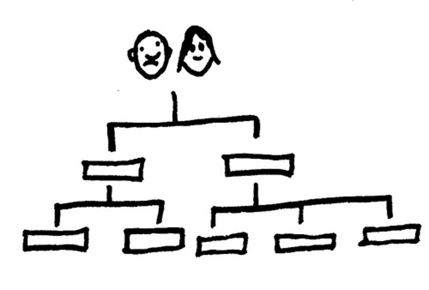 <p>descent / ancestry</p>