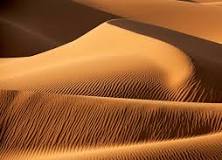 <p>dune</p>
