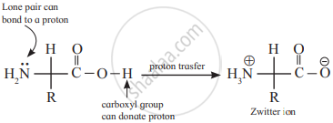 <ul><li><p>Amino acids act as salts rather than simple amines or carboxylic acids</p></li><li><p>This is due to the presence of both basic (amino) and an acidic (carboxyl) group</p></li><li><p>In aqueous solutions, the carboxyl group can lose a proton and the amino group can gain a proton giving rise to a dipolar ion known as zwitter ion</p></li><li><p>They are neutral but contain both positive and negative charges</p></li><li><p>In zwitter ionic form, amino acids show amphoteric behaviour as they react both with</p><p>acids and bases<br></p></li></ul><p></p>