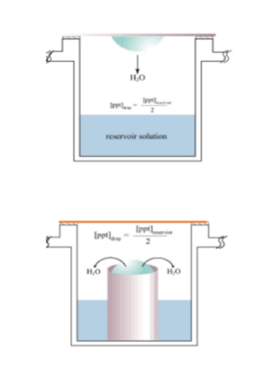 <p>Most popular method among protein crystallographers</p><p>1. Crystal screen buffer/mother liquor is the well solution (0.5-1 mL), mix this with protein and you make a drop with it</p><p>-Mother liquor-the solution in which the crystal exists-this is often not the same as the original crystallization screening solution, but is instead the solution that exists after some degree of vapor diffusion, equilibration through dialysis, or evaporation</p><p>2. Drop (on siliconized glass cover slip) is 1/2 protein solution, 1/2 crystal screen buffer (0.5-4 uL). So, the concentration of precipitant in the drop is 1/2 the concentration in the well</p><p>-Hanging drop method-drop is hanging upside down from top</p><p>-Sitting drop method-drop is sitting on a pedestal in a closed chamber</p><p>3. Cover slip is inverted over the top of the well an sealed with vacuum grease (airtight) (hanging drop method)</p><p>-Put buffer solution in rest of the chamber and close the top</p><p>4. The precipitant concentration in the drop will equilibrate with the precipitant concentration in the well via vapor diffusion</p><p>-Water evaporates from your drop very slowly and then the drop ends up in the same buffer that you filled the chamber with (this buffer contains precipitant)</p><p>-Is a very slow process-protein and precipitant concentration increase very slowly over time (is good because you don't want a sudden increase in concentration which could lead to precipitation)</p><p>-Protein eventually forms crystals</p>