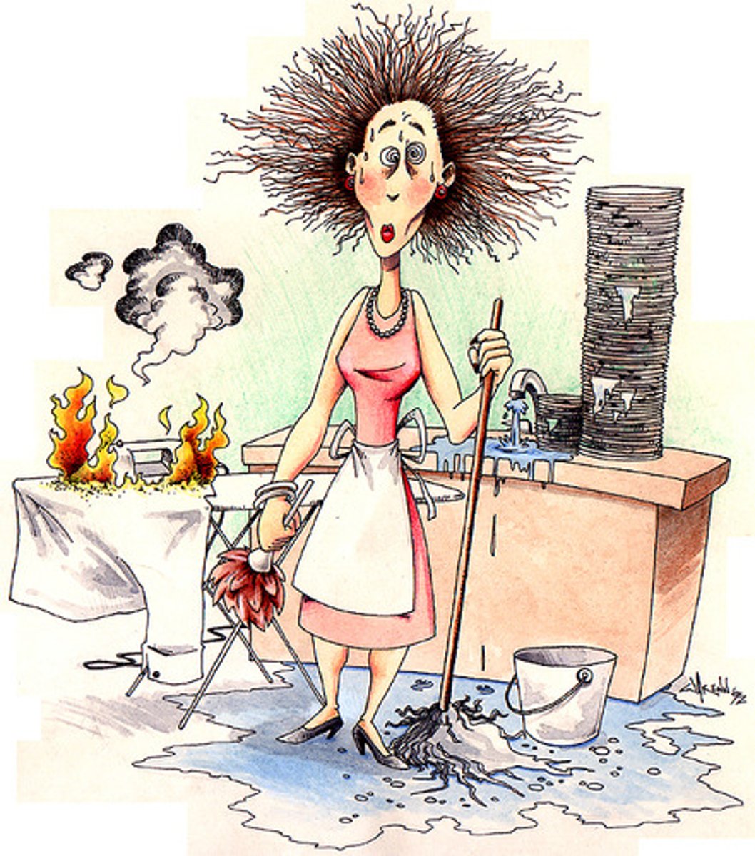 <p>(v): việc nhà</p>