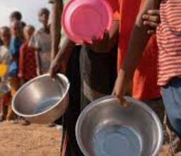 <p><span style="color: blue;">der Hunger</span></p>