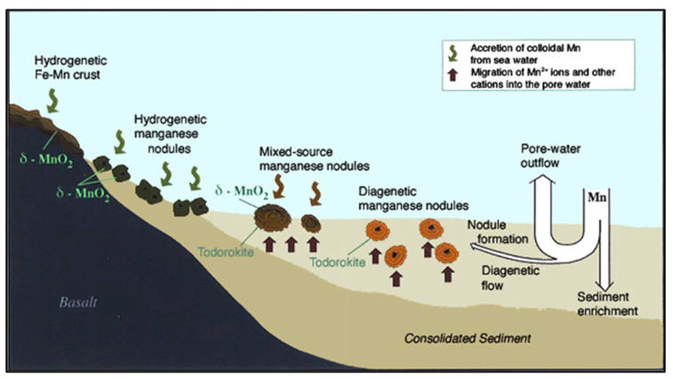 <p>Nodule métallique (structure concentrique) jonche le fond marin (fine couche successives d'oxydes autour d'un noyau <span><span>à</span></span> fragment de roche, dent de requin, microfossile)</p><p class="MsoNormal">Formation: processus très très long (qlq mm par million d'années -> in situ)</p>