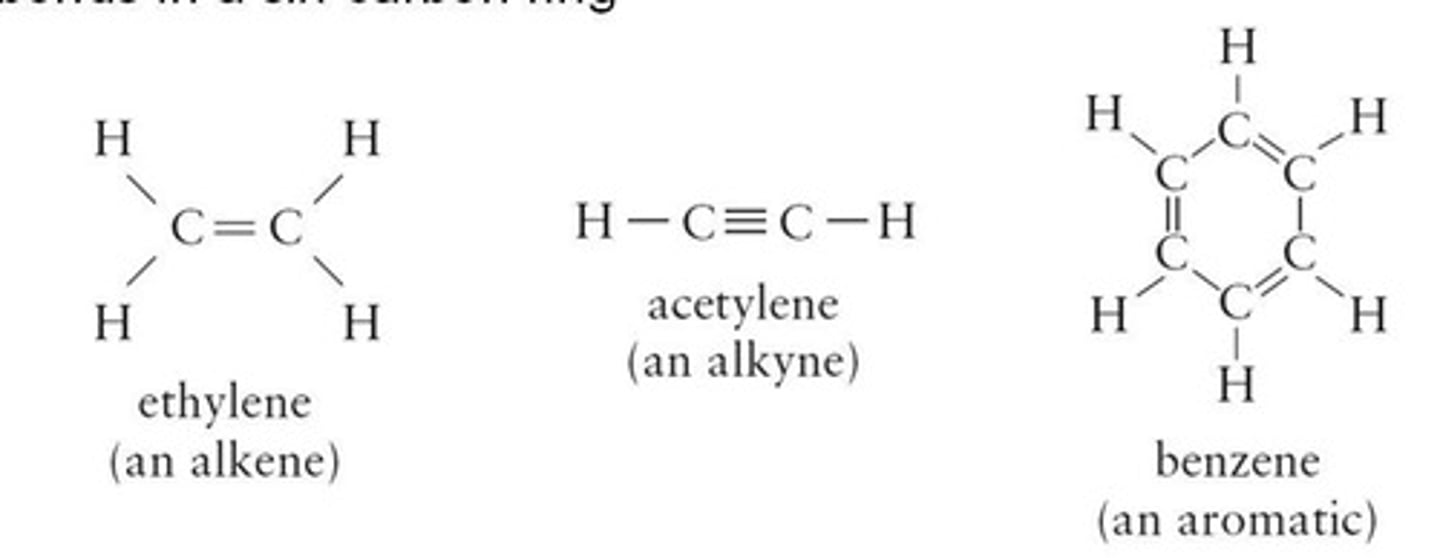 <p>Hydrocarbons with one or more double bonds (C=C).</p>