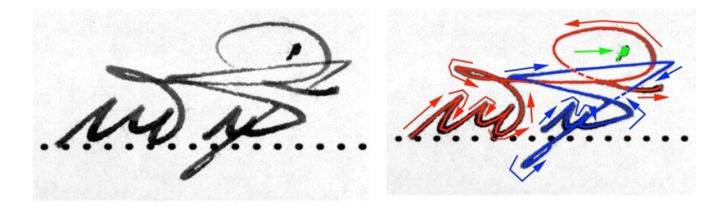 knowt flashcard image