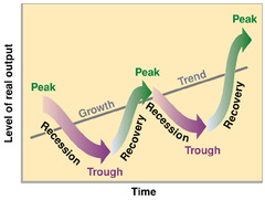 <ul><li><p>largely systematic ups and downs of real GDP</p></li><li><p>trend line shows that over the long term, the economy is gradually growing despite cycles of expansion and recession</p></li></ul>