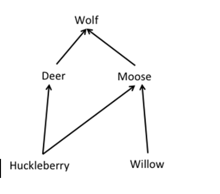 <p><span style="background-color: transparent;"><strong><span>Using the food web diagram, which scenarios are possible?</span></strong></span></p><p><span style="background-color: transparent;"><em><span>I. Removal of wolves will cause an increase in huckleberries.</span></em></span></p><p><span style="background-color: transparent;"><em><span>II. Decreasing the deer population will result in collapse of the wolf population.</span></em></span></p><p><span style="background-color: transparent;"><em><span>III. Removal of willows will result in an increase in huckleberries</span></em></span></p><p><br></p>