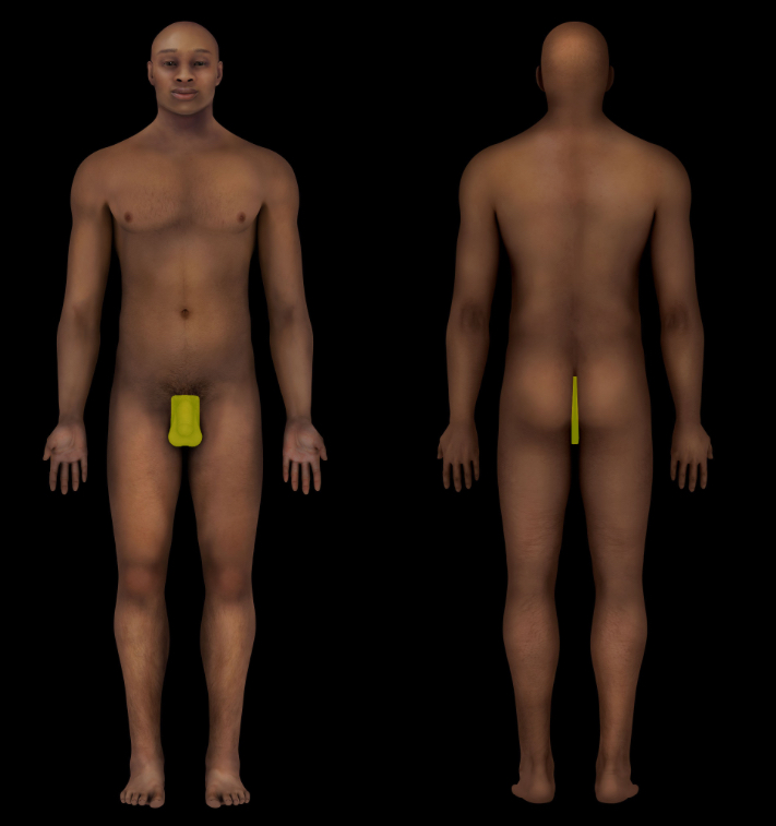 term image