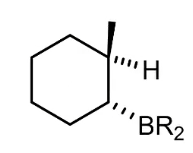<p>What are other things you can do with the boron structure (add H or NH<sub>2</sub></p>