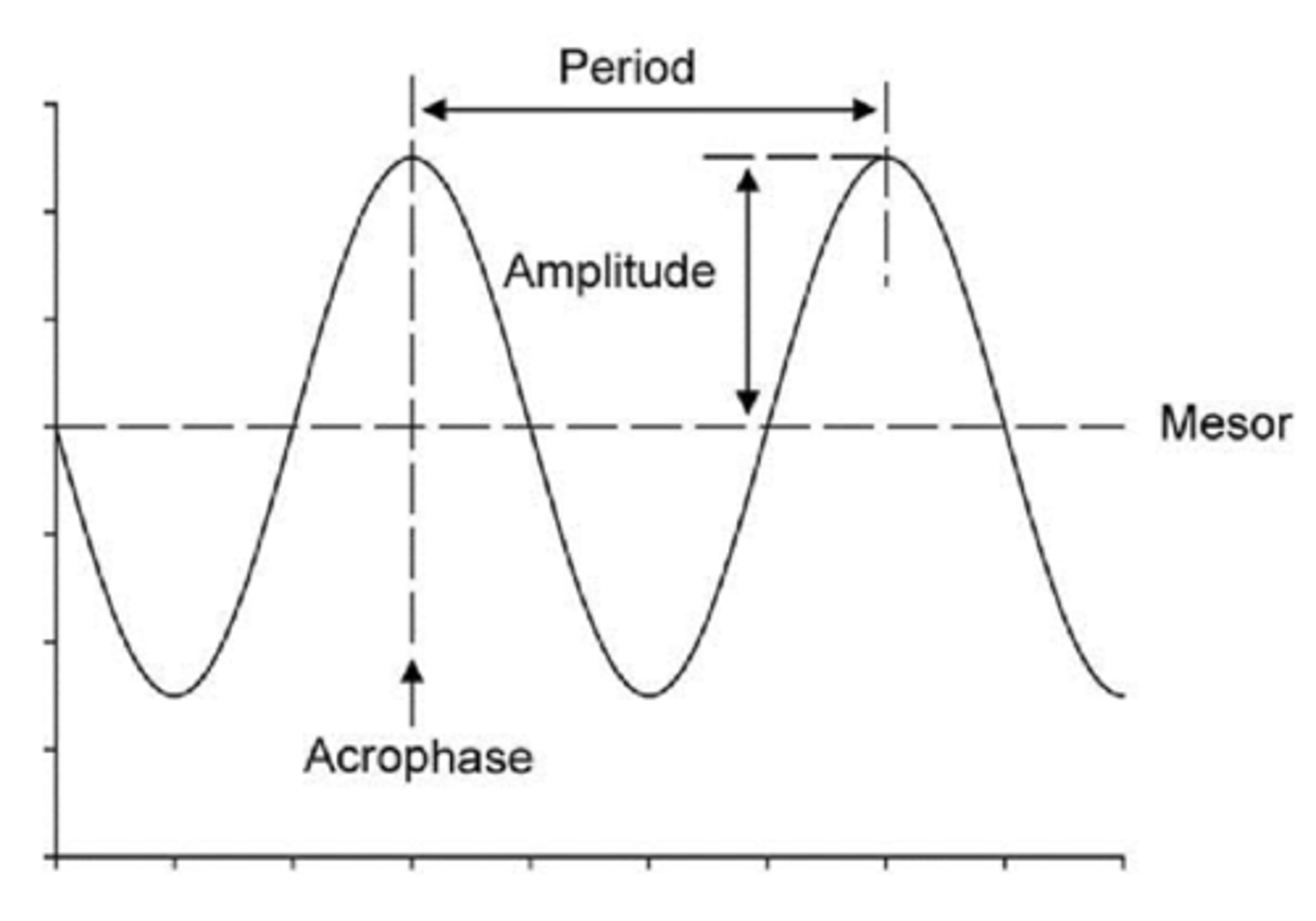<p>peak time of a rhythmic cycle identified by curve fitting</p>