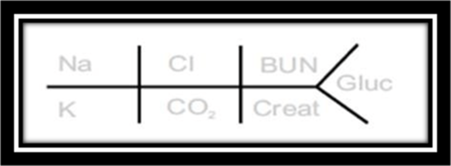 <p>Mnemonic: Salty (NaCl) BUNs with Sugar (glucose)</p><p>For the denominators, they match with like ions such as Na on top and K on bottom bc they are both positive ions, CO2 under Cl bc negative ions, and creatinine under BUN bc related to kidneys</p>