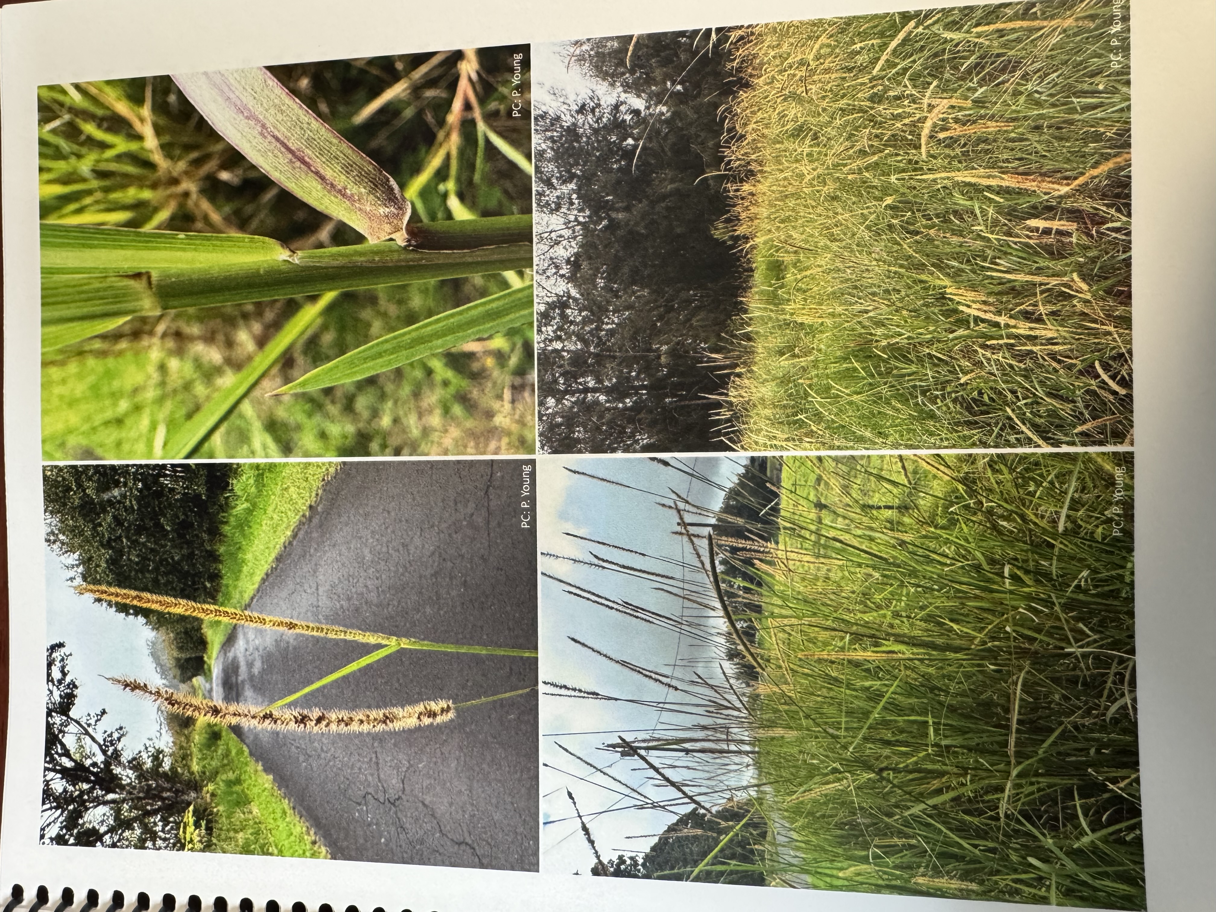 <img src="blob:null/64b6e050-b321-4fc9-9a9f-90ca3e9be7fb"><p></p>