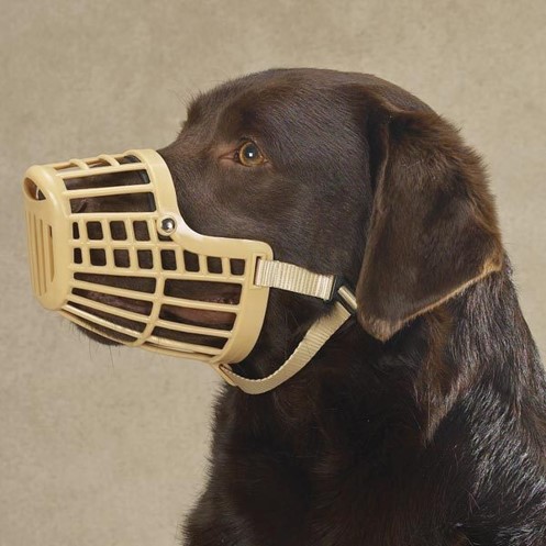 <p>Basket muzzle</p>