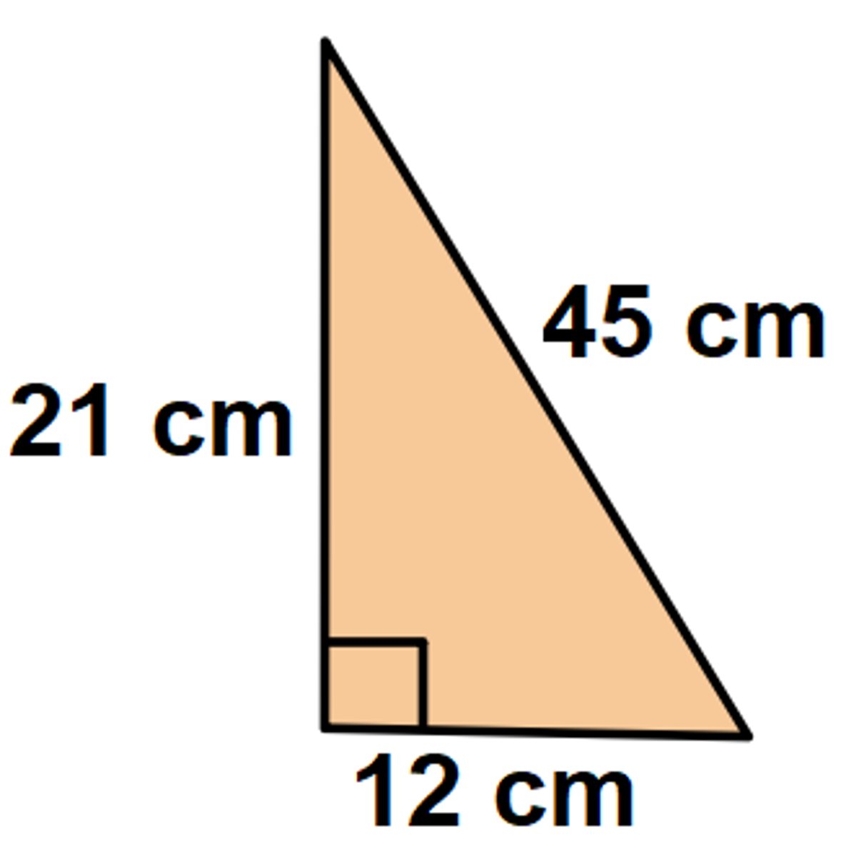 <p>Find the area of the polygon.</p>