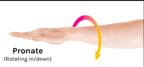 <p>rotating in/down</p>