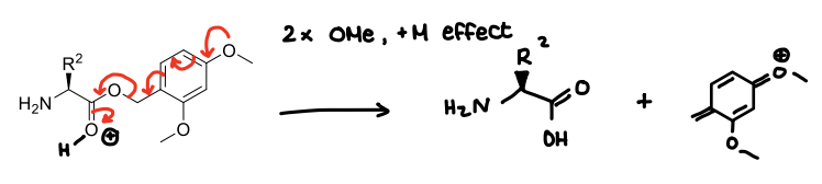 <p>The dimethoxy groups can contribute to the removal of an OH molecule.</p>