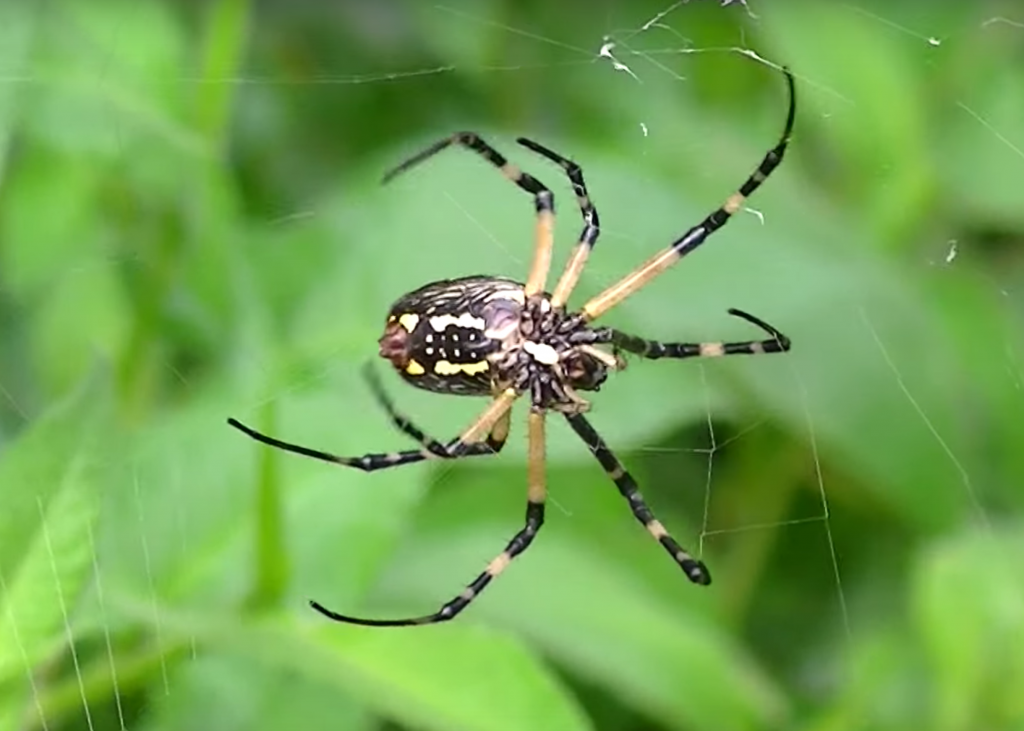 <img src="https://knowt-user-attachments.s3.amazonaws.com/3fa7cb9c-28df-4dbd-a5b6-c83fe14cfcc0.jpg" data-width="75%" data-align="center"><p></p>