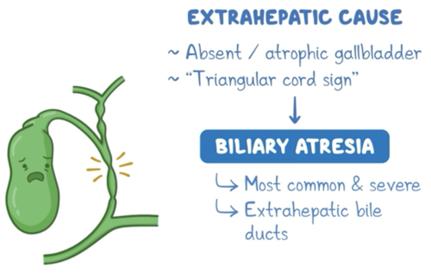 <p>biliary obstruction or severe infection</p>