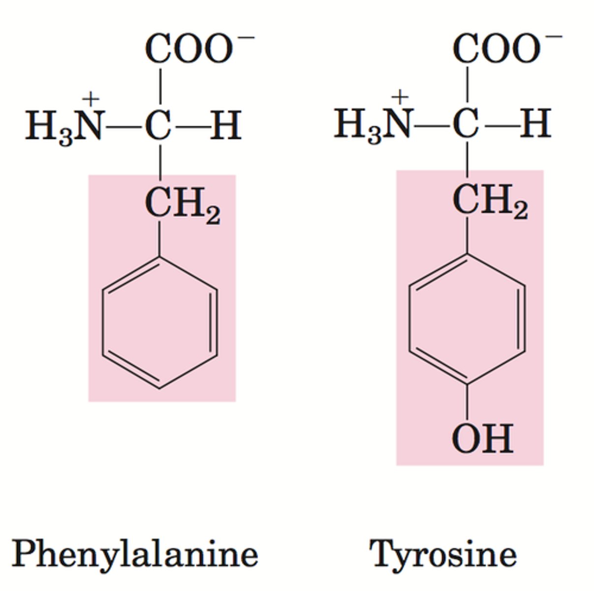 <p>*The aromatic ring is lipophilic which is good for getting across the blood brain barrier (BBB) via transcellular transport/ passive diffusion.</p><p>*The nitrogen group seems to be linked to the activity of the drug once it enters the brain.</p><p>*Additionally, receptors in the brain interact with CNS natural products which are often derived from phenylalanine or tyrosine. Theses amino acids have an aromatic ring and a basic nitrogen two carbons. Hence why CNS active drugs mimic their structure.</p>