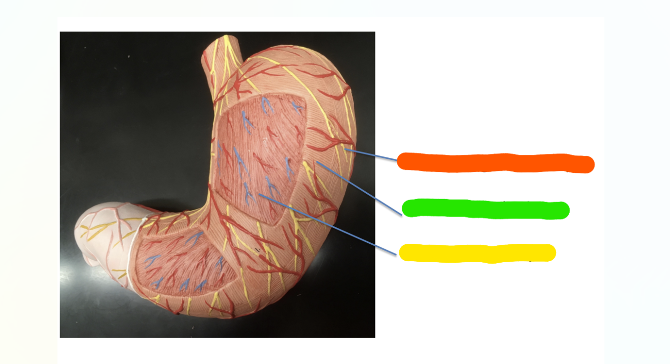 <p>What is indicated by the Red Section?</p>