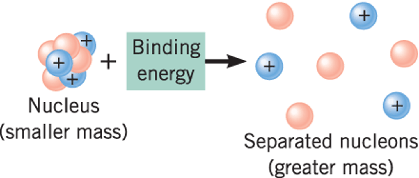 <p>(D) Mass defect</p><p>The mass defect is the mass difference between the actual and predicted mass of an atom.</p>