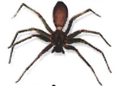 <p>ఇది ఏమిటి?</p>