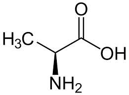 <p>Ala, A<br>nonpolar, uncharged</p>