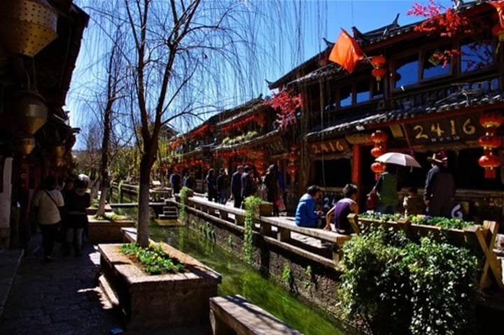 <p>The natural scenery of Yunnan in China is very beautiful, with mountains and waters, and there are many ethnic minorities living there. When you travel to Yunnan, you can see the architecture, clothing, and food of different ethnic groups, and learn about the customs and habits of each ethnic group. There are three most famous scenic spots in Yunnan: the Stone Forest, the Three Pagodas of Dali and the Old Town of Lijiang. There are all kinds of strange stones in the stone forest, and it looks like a forest from a distance. Dali Three Pagodas is a very old building. The ancient city of Lijiang is not big, it only takes an hour or two from the west to the east. The most special thing is that there is a very clean river running through the middle of the city. There are many shops, tea houses and small restaurants on both sides of the river. You can drink tea in a teahouse with Yunnan characteristics while looking at the small river outside and tourists from all over the world, which will give you a good impression.</p>