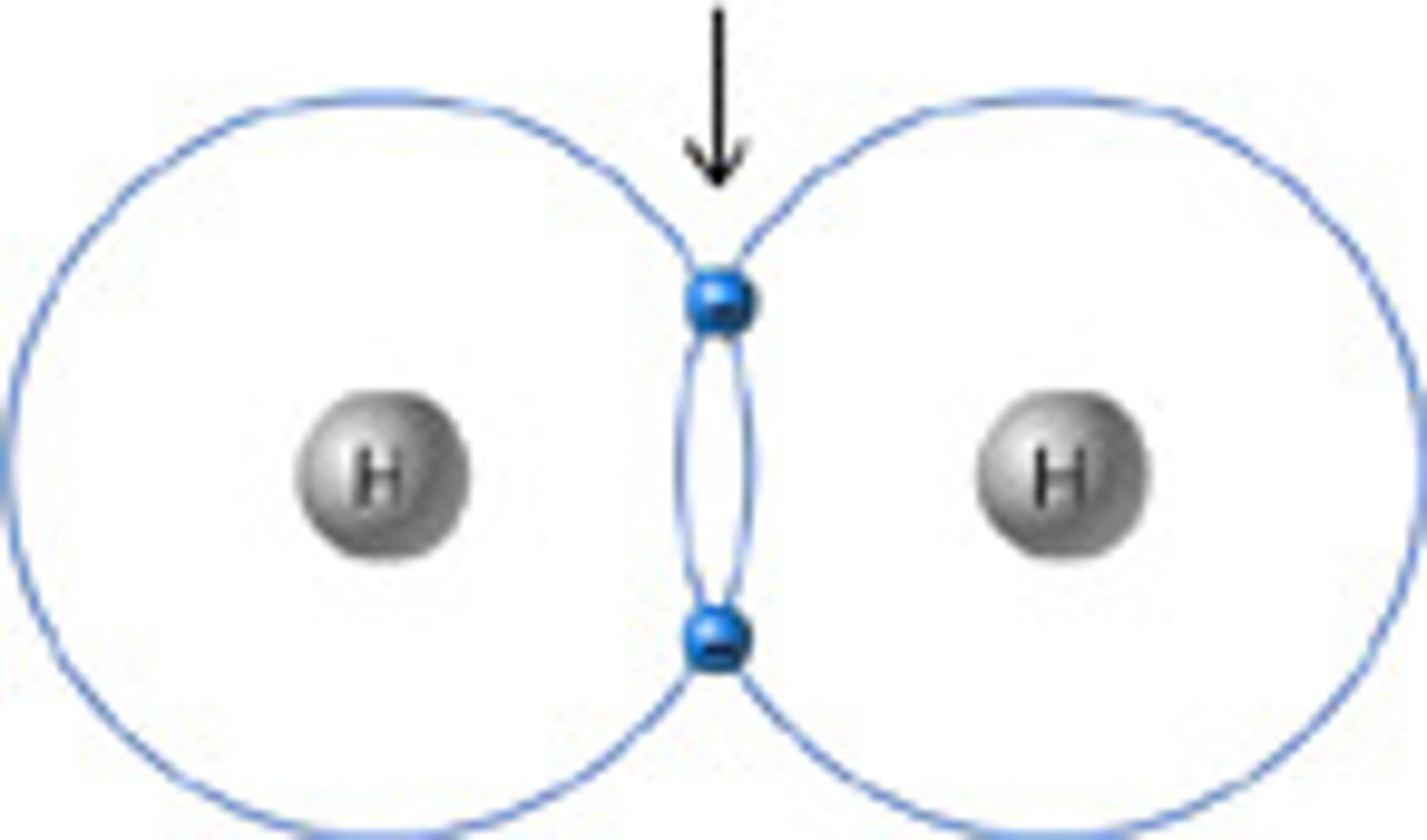 <p>Due to the partial charges on atoms in water molecules, ____ in water molecules are attracted to oxygen atoms in other water molecules</p>