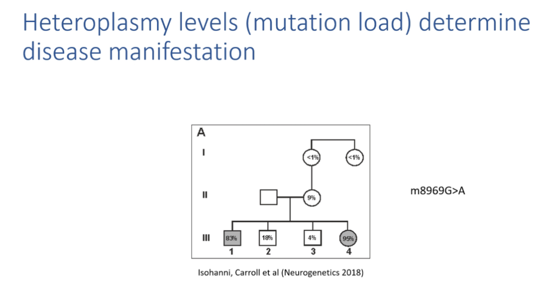 <p>Examples of heteroplasmy thresholds</p>