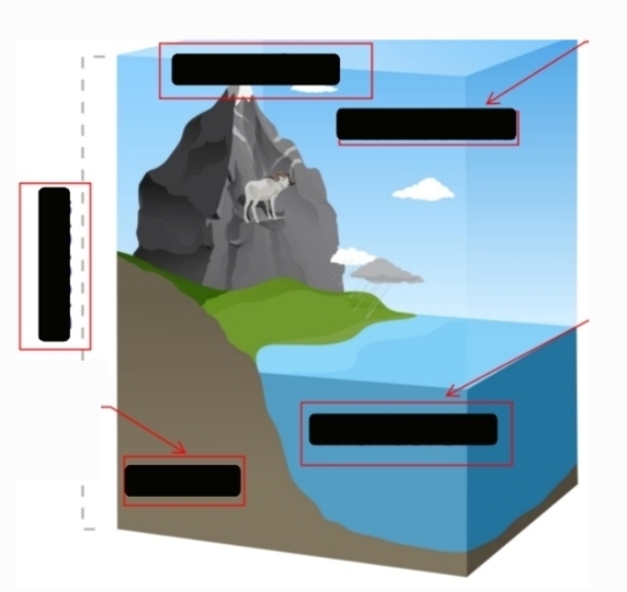 <p>Capas de la biosfera:</p>