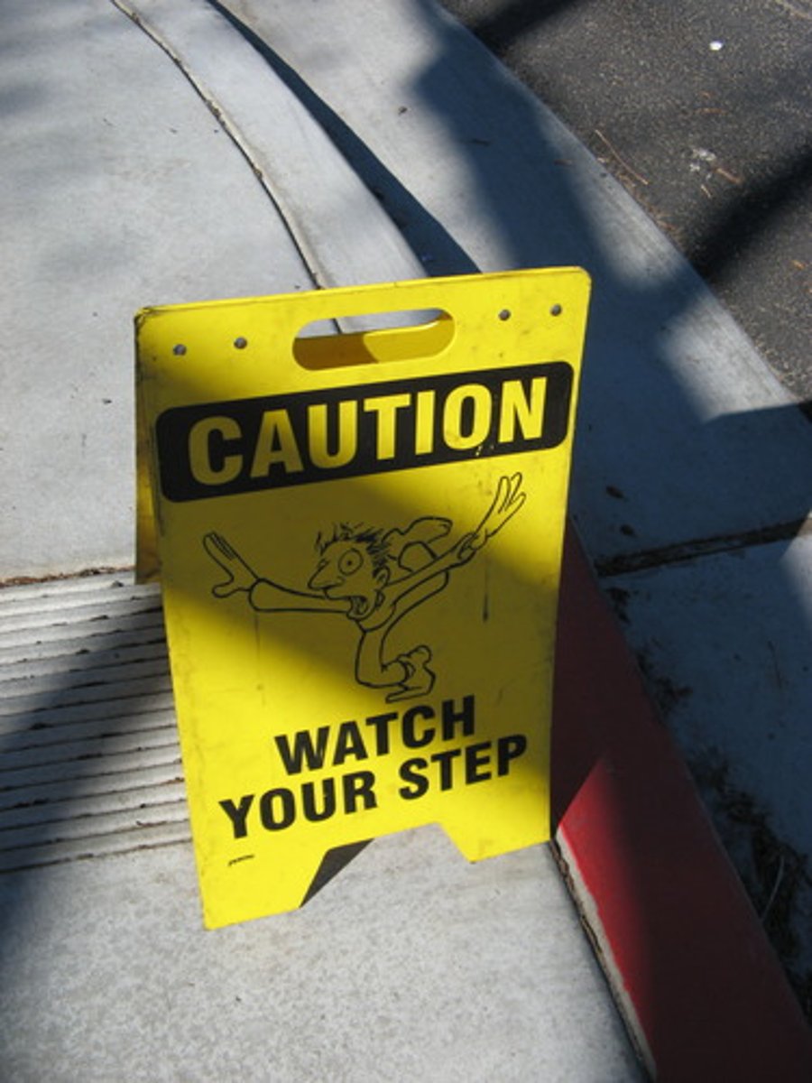 <p>careful, clever and cautious</p>