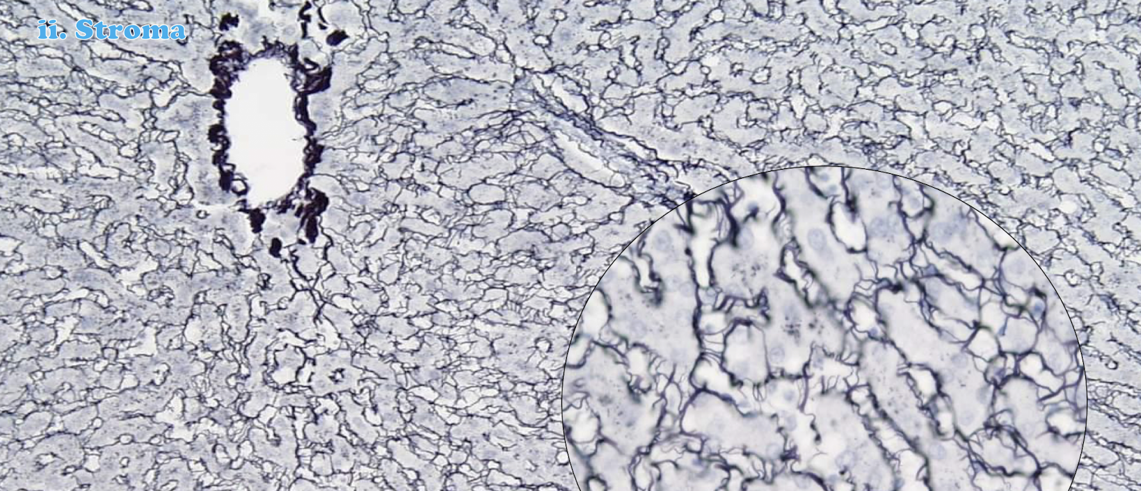 <p>Name the feature</p>