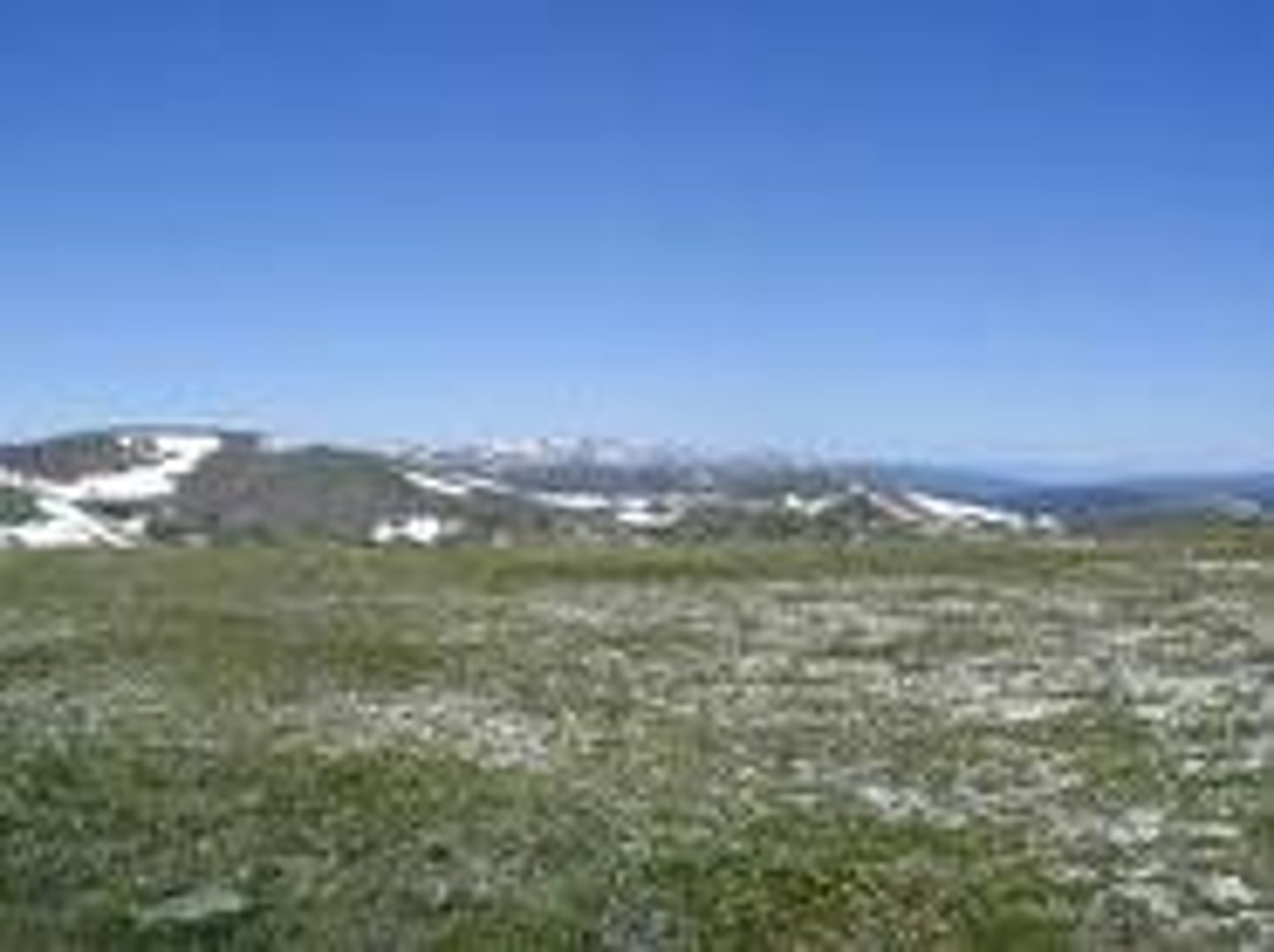 <p>-Perma forest, bitter cold, and high winds means no trees or tall plants. Little rainfall but accumulation on top of perma forest.</p><p>-Mountaintops around the world can be alpine tundra.</p>